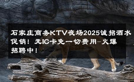石家庄商务KTV夜场2025诚招酒水促销！无IC卡免一切费用-火爆招聘中！ 