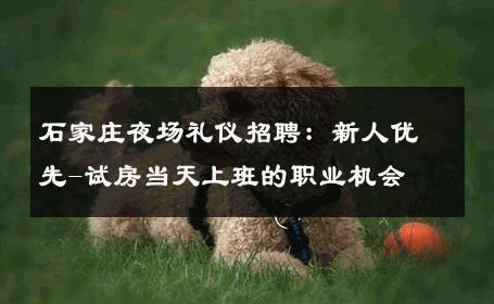 石家庄夜场礼仪招聘：新人优先-试房当天上班的职业机会 