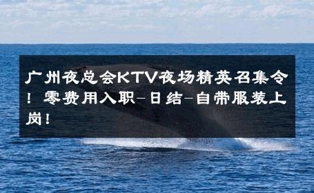 广州夜总会KTV夜场精英召集令！零费用入职-日结-自带服装上岗！ 