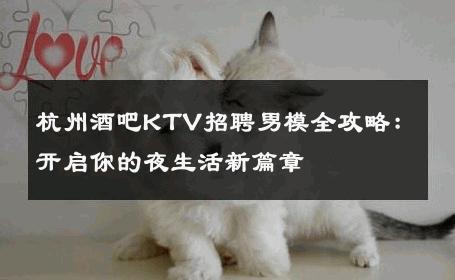 杭州酒吧KTV招聘男模全攻略：开启你的夜生活新篇章 