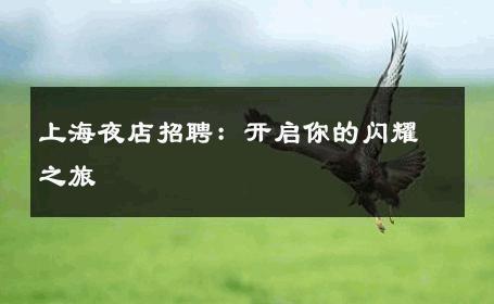 上海夜店招聘：开启你的闪耀之旅 