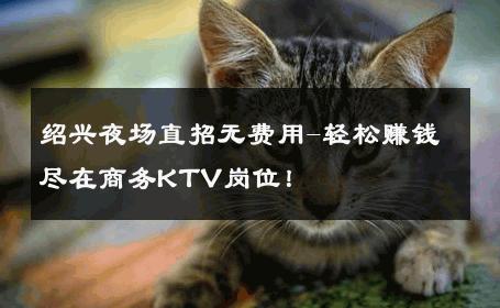 绍兴夜场直招无费用-轻松赚钱尽在商务KTV岗位！ 