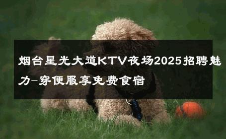 烟台星光大道KTV夜场2025招聘魅力-穿便服享免费食宿 