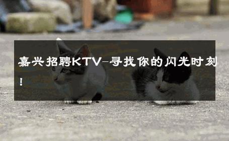 嘉兴招聘KTV-寻找你的闪光时刻！ 