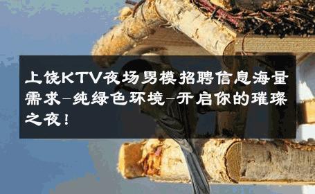 上饶KTV夜场男模招聘信息海量需求-纯绿色环境-开启你的璀璨之夜！ 