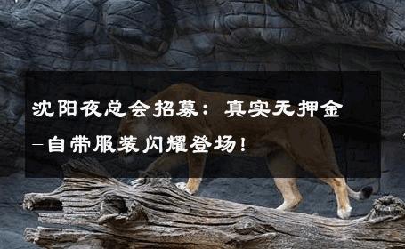 沈阳夜总会招募：真实无押金-自带服装闪耀登场！ 