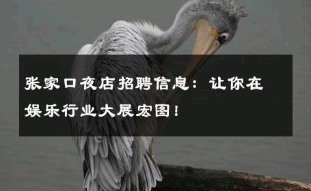 张家口夜店招聘信息：让你在娱乐行业大展宏图！ 