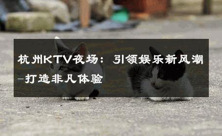 杭州KTV夜场：引领娱乐新风潮-打造非凡体验 