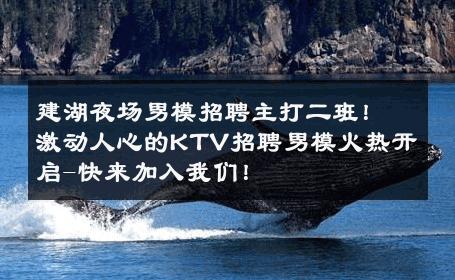 建湖夜场男模招聘主打二班！激动人心的KTV招聘男模火热开启-快来加入我们！ 