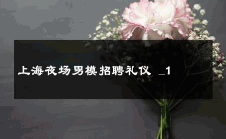 上海夜场男模招聘礼仪 _1