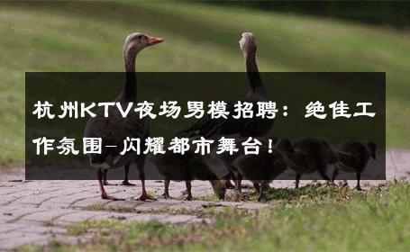 杭州KTV夜场男模招聘：绝佳工作氛围-闪耀都市舞台！ 