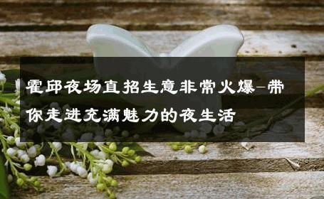 霍邱夜场直招生意非常火爆-带你走进充满魅力的夜生活 