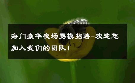 海门豪华夜场男模招聘-欢迎您加入我们的团队！ 
