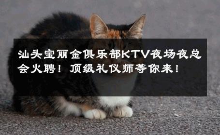 汕头宝丽金俱乐部KTV夜场夜总会火聘！顶级礼仪师等你来！ 