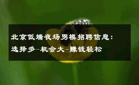 北京低端夜场男模招聘信息：选择多-机会大-赚钱轻松 