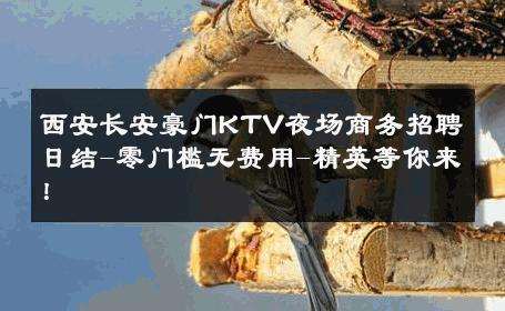 西安长安豪门KTV夜场商务招聘日结-零门槛无费用-精英等你来！ 