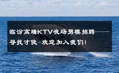 临汾高端KTV夜场男模招聘——寻找才俊-欢迎加入我们！ 