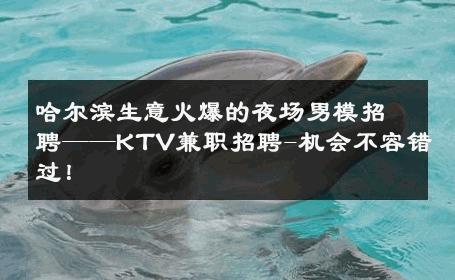 哈尔滨生意火爆的夜场男模招聘——KTV兼职招聘-机会不容错过！ 