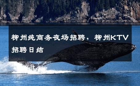 柳州纯商务夜场招聘，柳州KTV招聘日结