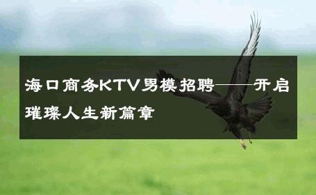 海口商务KTV男模招聘——开启璀璨人生新篇章 