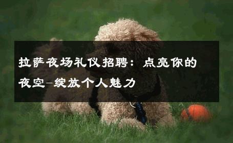 拉萨夜场礼仪招聘：点亮你的夜空-绽放个人魅力 