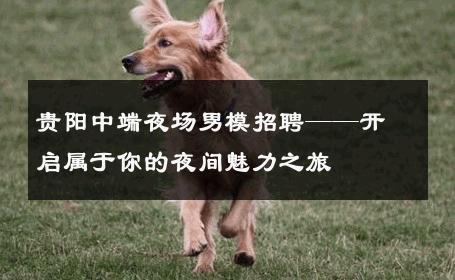 贵阳中端夜场男模招聘——开启属于你的夜间魅力之旅 