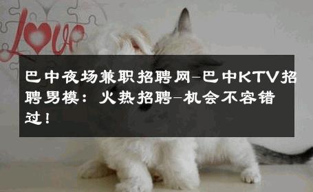 巴中夜场兼职招聘网-巴中KTV招聘男模：火热招聘-机会不容错过！ 