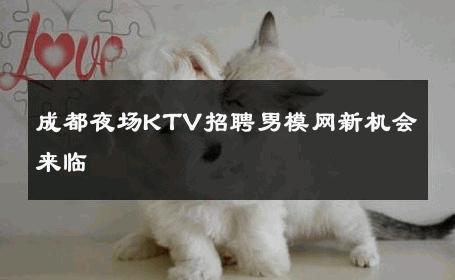 成都夜场KTV招聘男模网新机会来临 