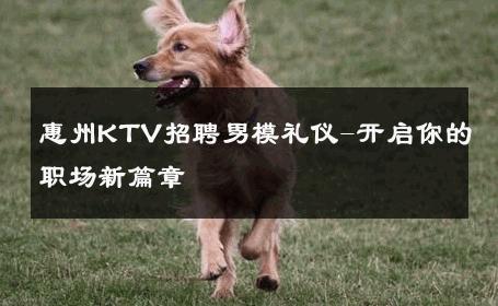 惠州KTV招聘男模礼仪-开启你的职场新篇章 