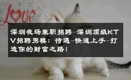 深圳夜场兼职招聘-深圳顶级KTV招聘男模：待遇-快速上手-打造你的财富之路！ 