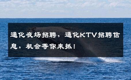通化夜场招聘，通化KTV招聘信息，机会等你来抓！