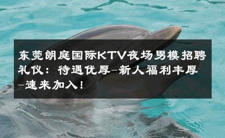 东莞朗庭国际KTV夜场男模招聘礼仪：待遇优厚-新人福利丰厚-速来加入！ 