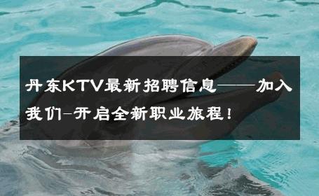 丹东KTV最新招聘信息——加入我们-开启全新职业旅程！ 