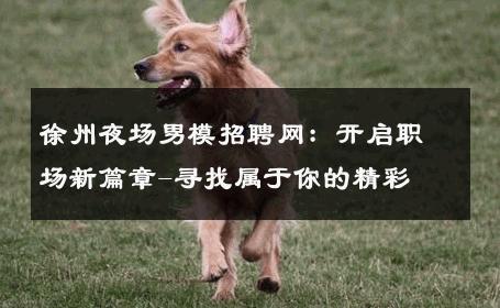 徐州夜场男模招聘网：开启职场新篇章-寻找属于你的精彩 