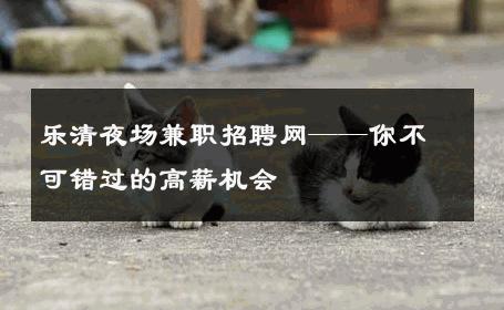 乐清夜场兼职招聘网——你不可错过的高薪机会 