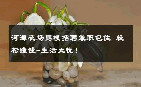 河源夜场男模招聘兼职包住-轻松赚钱-生活无忧！ 