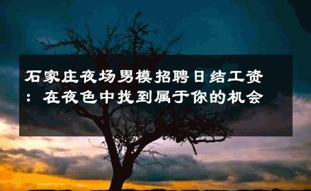 石家庄夜场男模招聘日结工资：在夜色中找到属于你的机会 