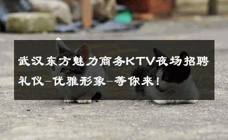 武汉东方魅力商务KTV夜场招聘礼仪-优雅形象-等你来！ 
