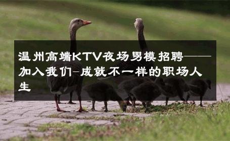 温州高端KTV夜场男模招聘——加入我们-成就不一样的职场人生 