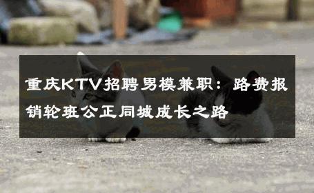 重庆KTV招聘男模兼职：路费报销轮班公正同城成长之路 