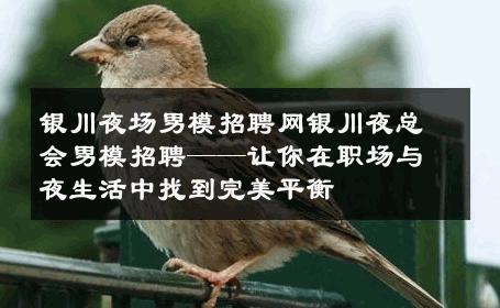 银川夜场男模招聘网银川夜总会男模招聘——让你在职场与夜生活中找到完美平衡 