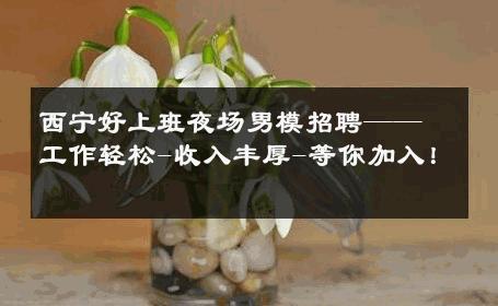西宁好上班夜场男模招聘——工作轻松-收入丰厚-等你加入！ 