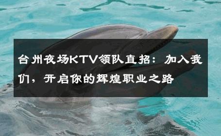 台州夜场KTV领队直招：加入我们，开启你的辉煌职业之路