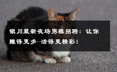 银川最新夜场男模招聘：让你赚得更多-活得更精彩！ 