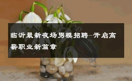 临沂最新夜场男模招聘-开启高薪职业新篇章 