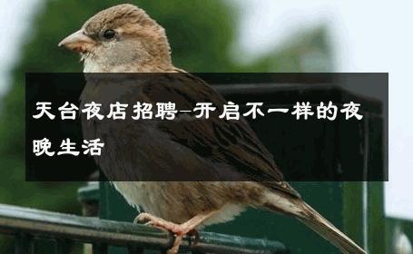 天台夜店招聘-开启不一样的夜晚生活 