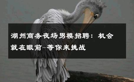 湖州商务夜场男模招聘：机会就在眼前-等你来挑战 