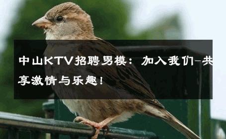 中山KTV招聘男模：加入我们-共享激情与乐趣！ 