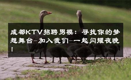 成都KTV招聘男模：寻找你的梦想舞台-加入我们-一起闪耀夜晚！ 