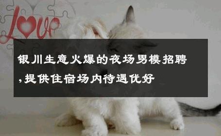 银川生意火爆的夜场男模招聘,提供住宿场内待遇优好 